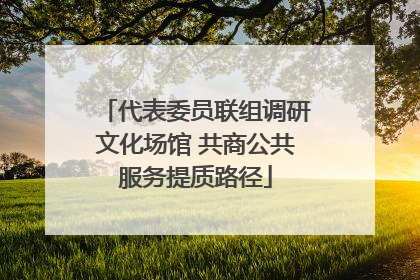代表委员联组调研文化场馆 共商公共服务提质路径
