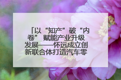 以“知产”破“内卷” 赋能产业升级发展——怀远成立创新联合体打造汽车零部件产业新高地