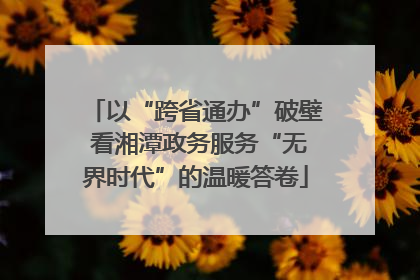 以“跨省通办”破壁 看湘潭政务服务“无界时代”的温暖答卷