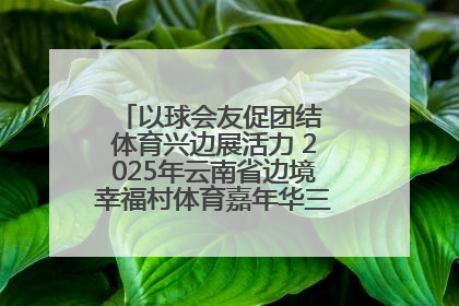 以球会友促团结 体育兴边展活力 2025年云南省边境幸福村体育嘉年华三人篮球赛圆满收官