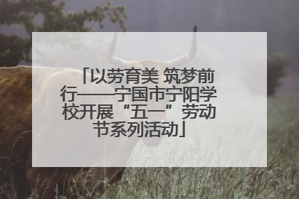 以劳育美 筑梦前行——宁国市宁阳学校开展“五一”劳动节系列活动