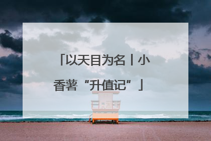 以天目为名丨小香薯“升值记”