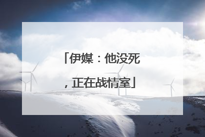 伊媒：他没死，正在战情室