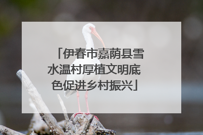 伊春市嘉荫县雪水温村厚植文明底色促进乡村振兴