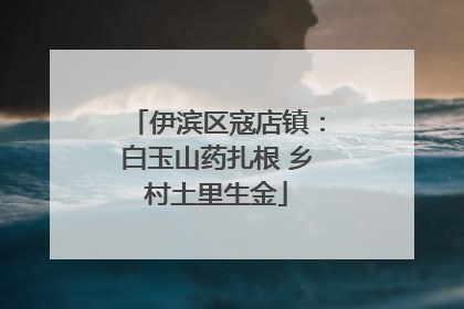伊滨区寇店镇：白玉山药扎根 乡村土里生金