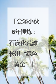 会泽小伙6年锤炼：石漠化荒滩长出“绿色黄金”