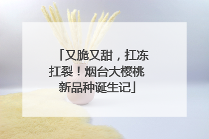 又脆又甜，扛冻扛裂！烟台大樱桃新品种诞生记