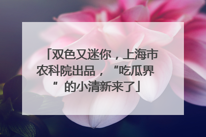 双色又迷你，上海市农科院出品，“吃瓜界”的小清新来了