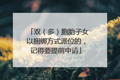 双（多）胞胎子女以捆绑方式派位的，记得要提前申请
