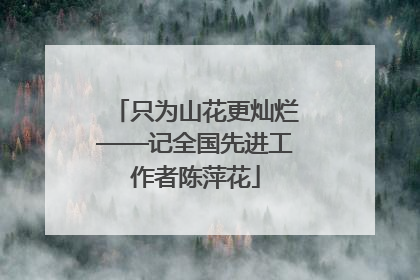 只为山花更灿烂——记全国先进工作者陈萍花