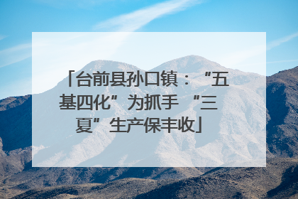 台前县孙口镇：“五基四化”为抓手 “三夏”生产保丰收