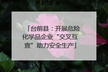 台前县：开展危险化学品企业“交叉互查”助力安全生产
