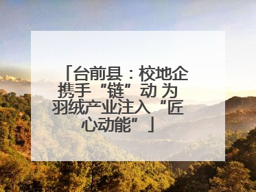 台前县：校地企携手“链”动 为羽绒产业注入“匠心动能”