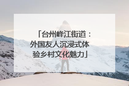 台州峰江街道：外国友人沉浸式体验乡村文化魅力