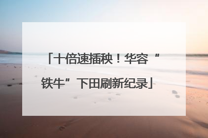 十倍速插秧！华容“铁牛”下田刷新纪录