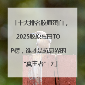 十大排名胶原蛋白，2025胶原蛋白TOP榜，谁才是抗衰界的 “真王者”？