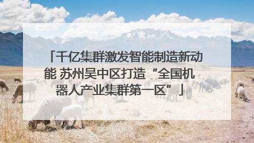 千亿集群激发智能制造新动能 苏州吴中区打造“全国机器人产业集群第一区”