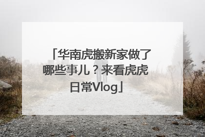 华南虎搬新家做了哪些事儿？来看虎虎日常Vlog