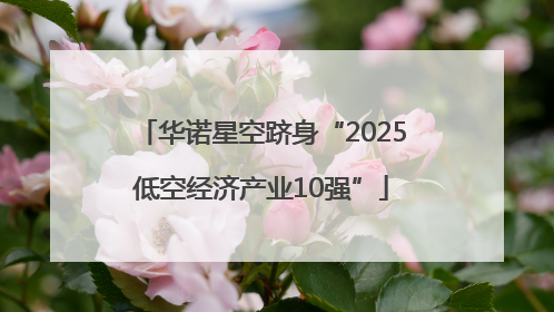 华诺星空跻身“2025低空经济产业10强”