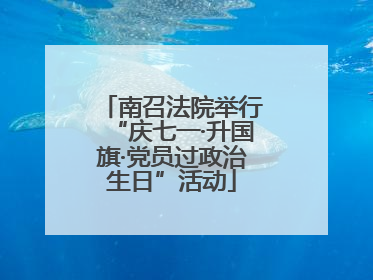南召法院举行“庆七一·升国旗·党员过政治生日”活动