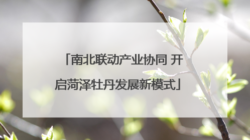 南北联动产业协同 开启菏泽牡丹发展新模式