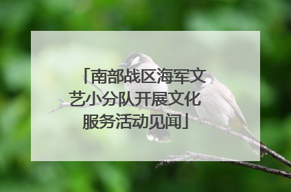 南部战区海军文艺小分队开展文化服务活动见闻