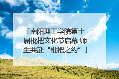 南阳理工学院第十一届枇杷文化节启幕 师生共赴“枇杷之约”
