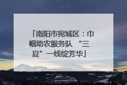 南阳市宛城区：巾帼助农服务队 “三夏”一线绽芳华