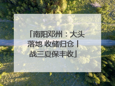 南阳邓州：大头落地 收储归仓丨战三夏保丰收