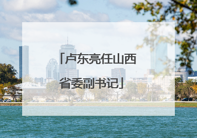 卢东亮任山西省委副书记