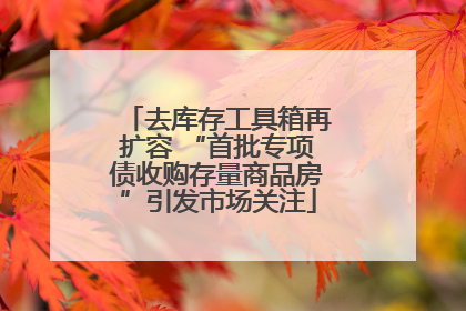 去库存工具箱再扩容 “首批专项债收购存量商品房”引发市场关注