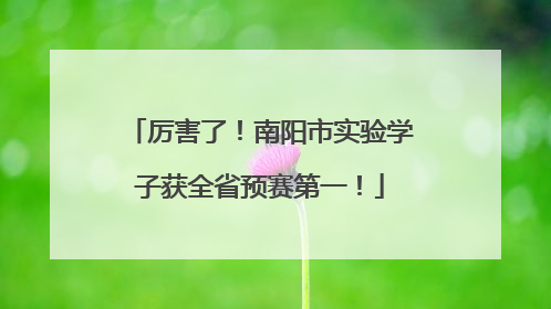 厉害了！南阳市实验学子获全省预赛第一！
