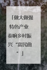 做大做强特色产业 奏响乡村振兴“富民曲”