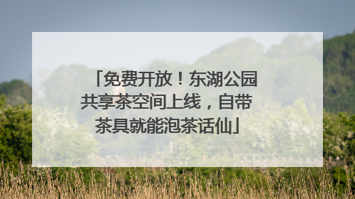 免费开放！东湖公园共享茶空间上线，自带茶具就能泡茶话仙
