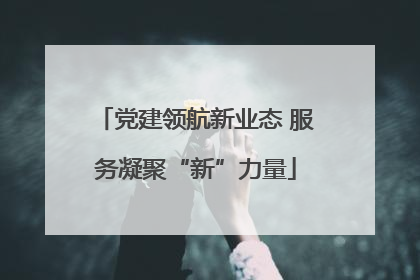 党建领航新业态 服务凝聚“新”力量