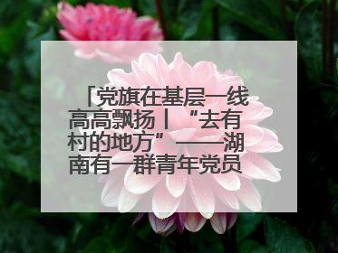 党旗在基层一线高高飘扬丨“去有村的地方”——湖南有一群青年党员这样选择