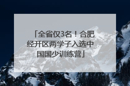 全省仅3名！合肥经开区两学子入选中国国少训练营