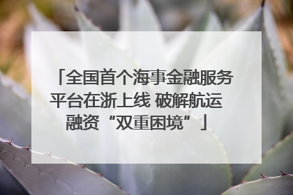全国首个海事金融服务平台在浙上线 破解航运融资“双重困境”