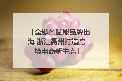 全链条赋能品牌出海 浙江衢州打造跨境电商新生态