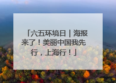 六五环境日｜海报来了！美丽中国我先行，上海行！