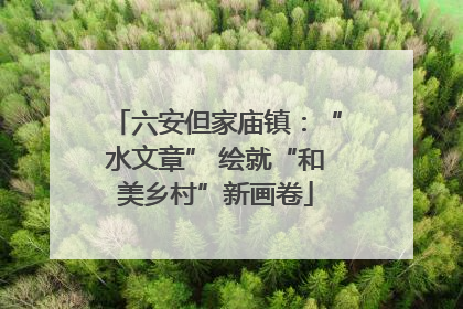 六安但家庙镇：“水文章” 绘就“和美乡村”新画卷