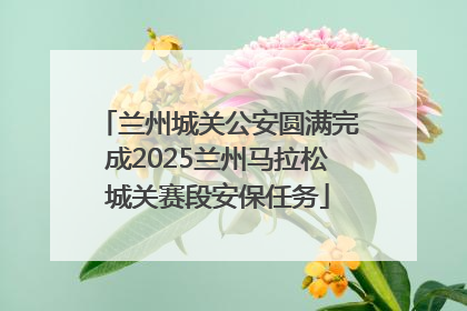 兰州城关公安圆满完成2025兰州马拉松城关赛段安保任务