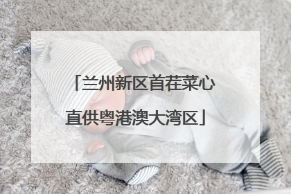 兰州新区首茬菜心直供粤港澳大湾区
