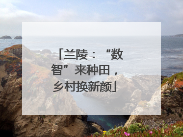 兰陵：“数智”来种田，乡村换新颜