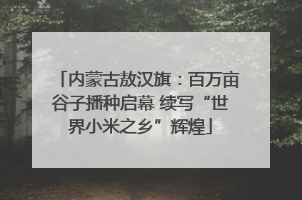 内蒙古敖汉旗：百万亩谷子播种启幕 续写“世界小米之乡”辉煌