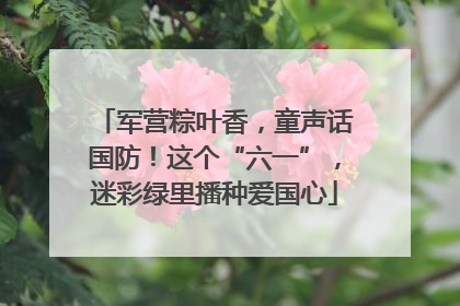 军营粽叶香，童声话国防！这个“六一”，迷彩绿里播种爱国心