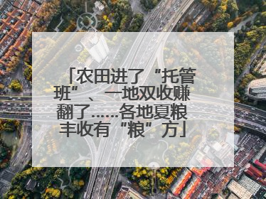 农田进了“托管班”、一地双收赚翻了……各地夏粮丰收有“粮”方