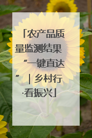 农产品质量监测结果“一键直达”｜乡村行·看振兴