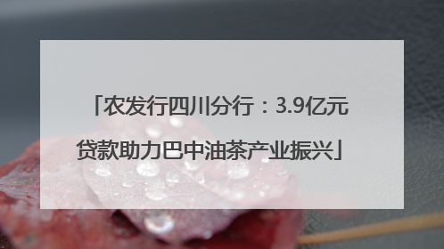 农发行四川分行：3.9亿元贷款助力巴中油茶产业振兴