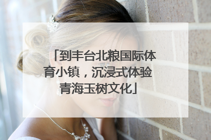 到丰台北粮国际体育小镇，沉浸式体验青海玉树文化